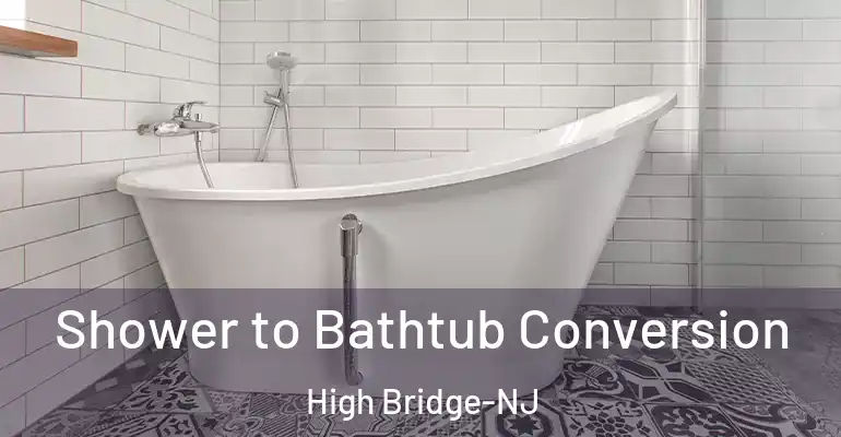 inner Bathroom imggen Shower to Bathtub Conversion High Bridge-NJ