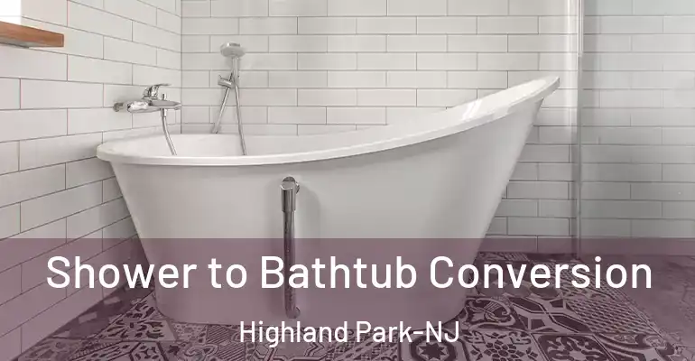 inner Bathroom imggen Shower to Bathtub Conversion Highland Park-NJ