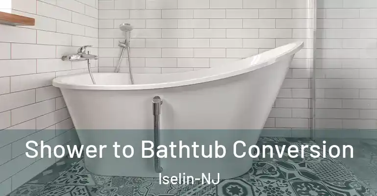 inner Bathroom imggen Shower to Bathtub Conversion Iselin-NJ