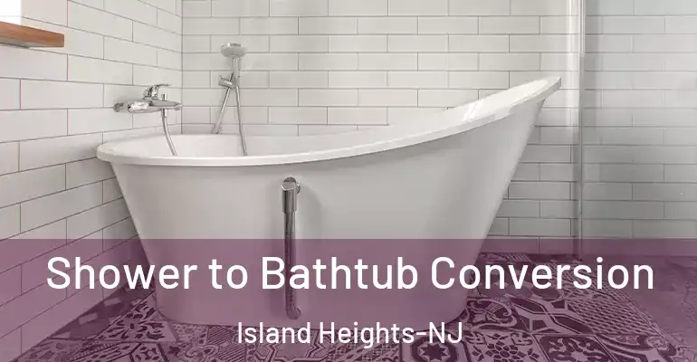 inner Bathroom imggen Shower to Bathtub Conversion Island Heights-NJ