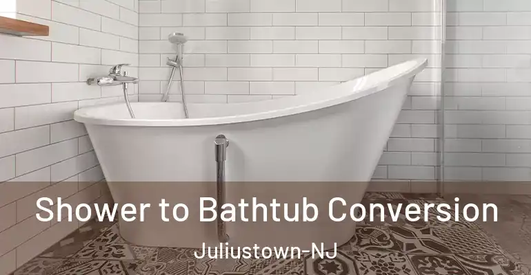 inner Bathroom imggen Shower to Bathtub Conversion Juliustown-NJ