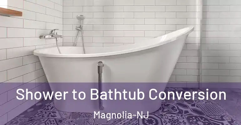 inner Bathroom imggen Shower to Bathtub Conversion Magnolia-NJ
