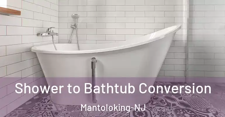 inner Bathroom imggen Shower to Bathtub Conversion Mantoloking-NJ