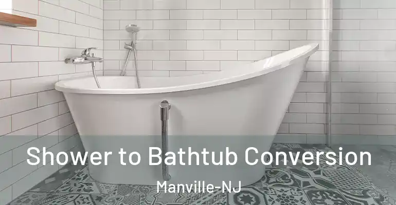 inner Bathroom imggen Shower to Bathtub Conversion Manville-NJ