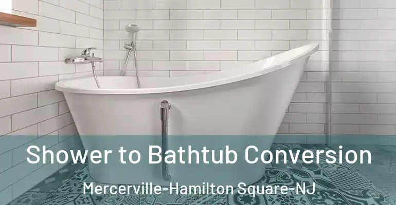 inner Bathroom imggen Shower to Bathtub Conversion Mercerville-Hamilton Square-NJ