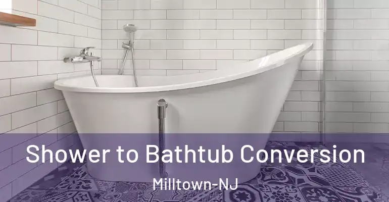 inner Bathroom imggen Shower to Bathtub Conversion Milltown-NJ