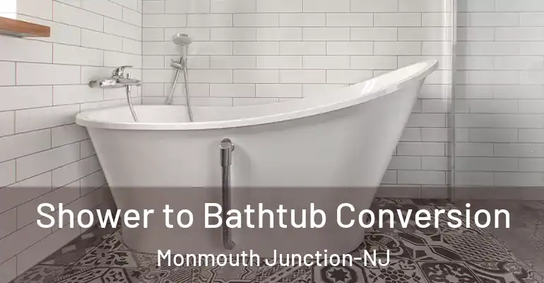 inner Bathroom imggen Shower to Bathtub Conversion Monmouth Junction-NJ
