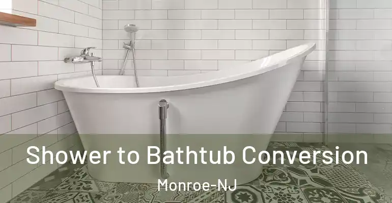 inner Bathroom imggen Shower to Bathtub Conversion Monroe-NJ