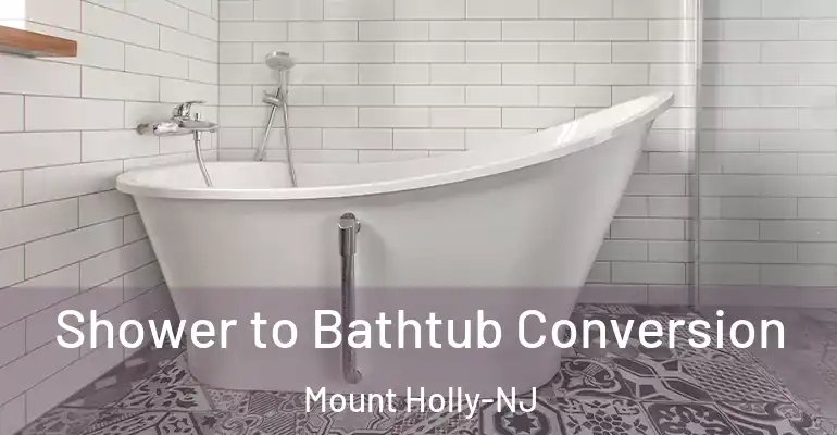 inner Bathroom imggen Shower to Bathtub Conversion Mount Holly-NJ