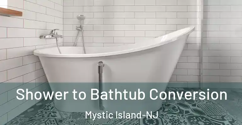 inner Bathroom imggen Shower to Bathtub Conversion Mystic Island-NJ