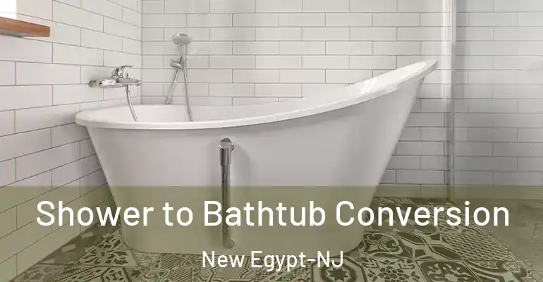inner Bathroom imggen Shower to Bathtub Conversion New Egypt-NJ