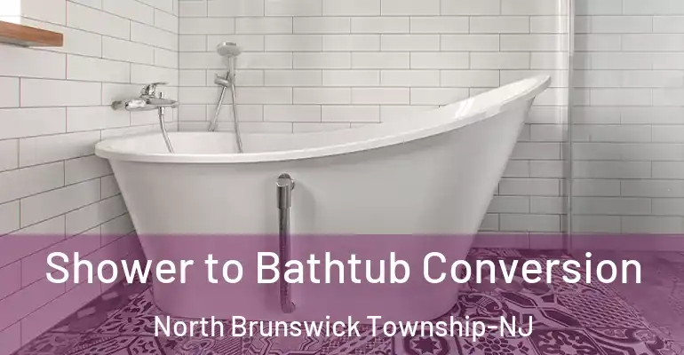 inner Bathroom imggen Shower to Bathtub Conversion North Brunswick Township-NJ