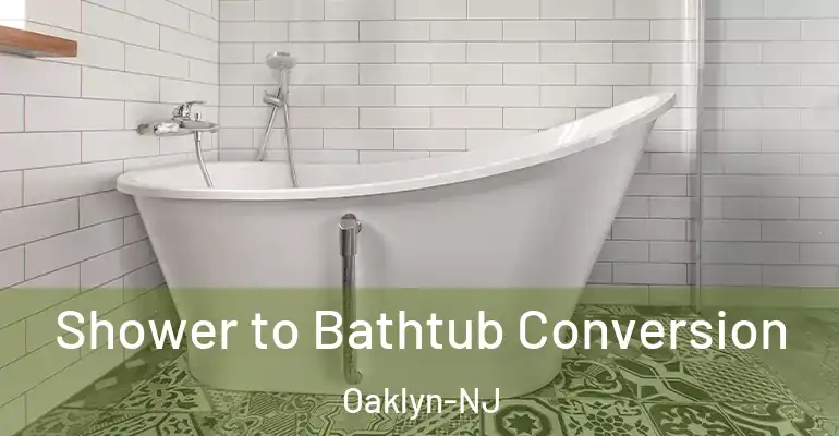 inner Bathroom imggen Shower to Bathtub Conversion Oaklyn-NJ
