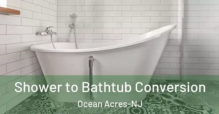 inner Bathroom imggen Shower to Bathtub Conversion Ocean Acres-NJ