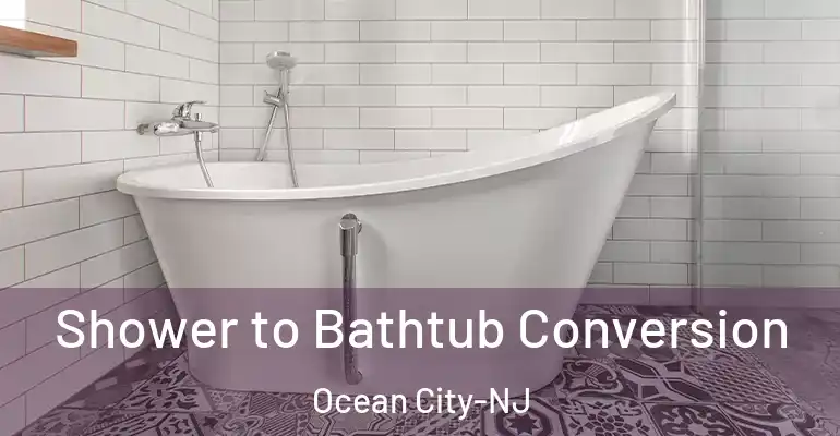 inner Bathroom imggen Shower to Bathtub Conversion Ocean City-NJ
