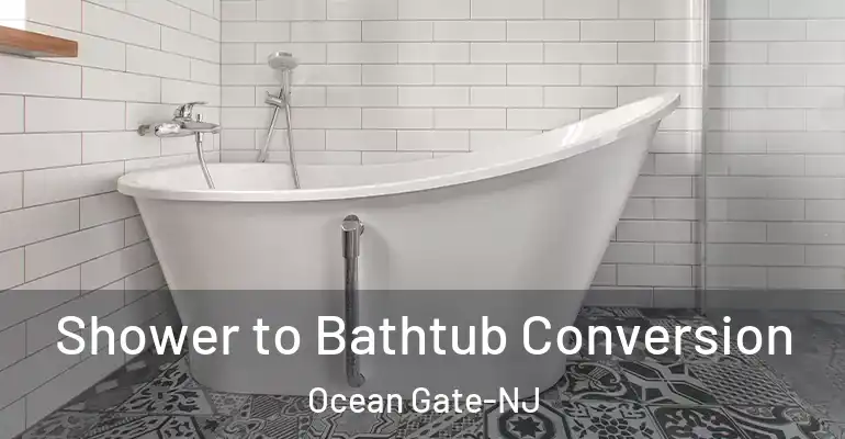 inner Bathroom imggen Shower to Bathtub Conversion Ocean Gate-NJ