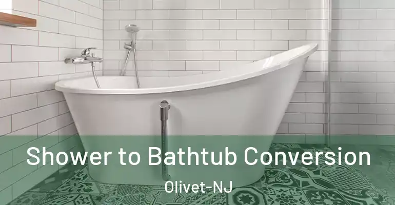 inner Bathroom imggen Shower to Bathtub Conversion Olivet-NJ