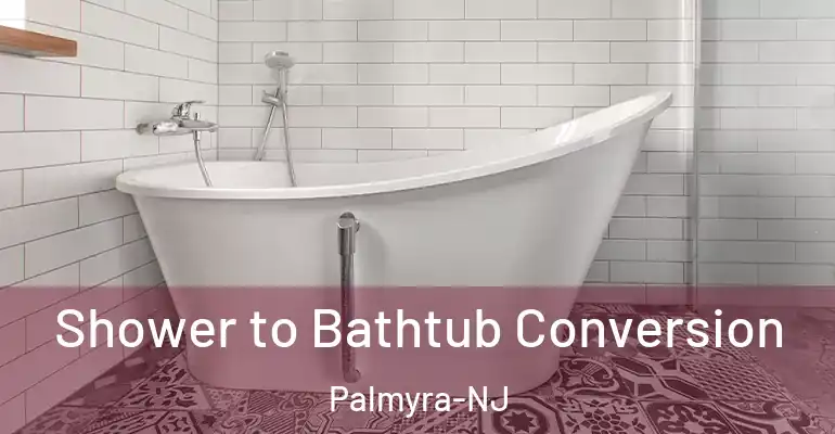 inner Bathroom imggen Shower to Bathtub Conversion Palmyra-NJ