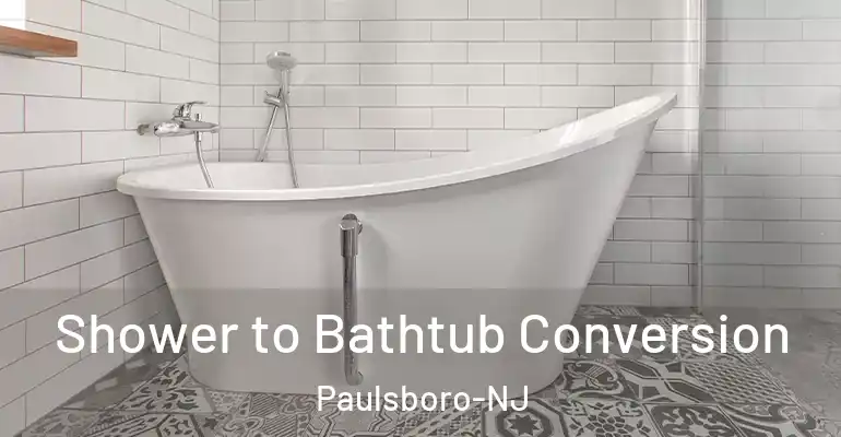 inner Bathroom imggen Shower to Bathtub Conversion Paulsboro-NJ