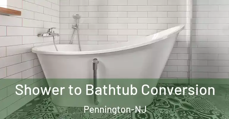 inner Bathroom imggen Shower to Bathtub Conversion Pennington-NJ