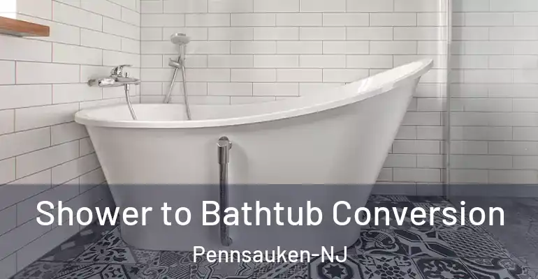 inner Bathroom imggen Shower to Bathtub Conversion Pennsauken-NJ