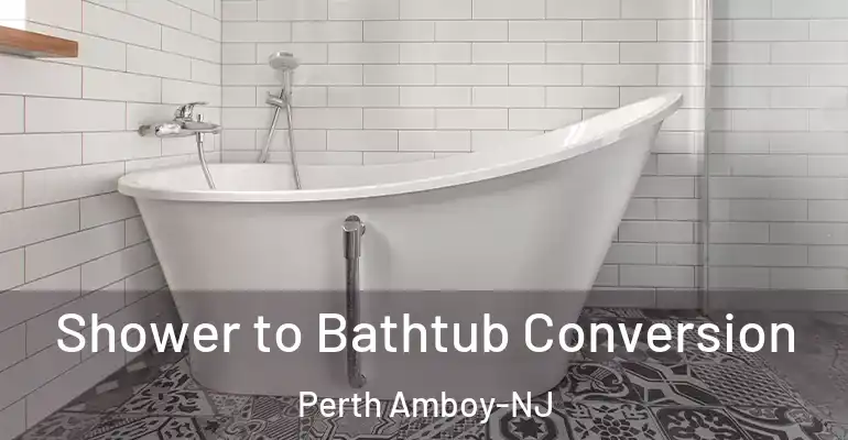 inner Bathroom imggen Shower to Bathtub Conversion Perth Amboy-NJ