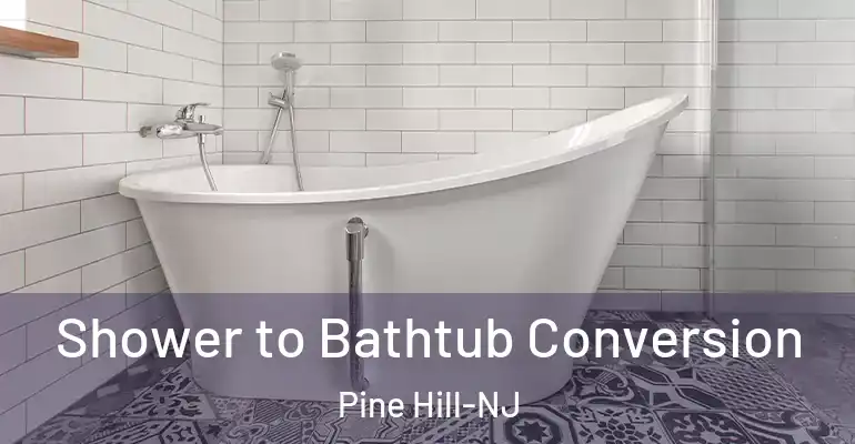 inner Bathroom imggen Shower to Bathtub Conversion Pine Hill-NJ
