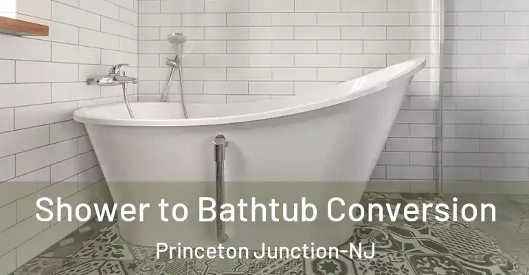 inner Bathroom imggen Shower to Bathtub Conversion Princeton Junction-NJ