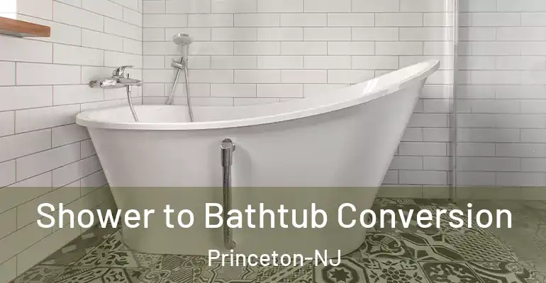 inner Bathroom imggen Shower to Bathtub Conversion Princeton-NJ