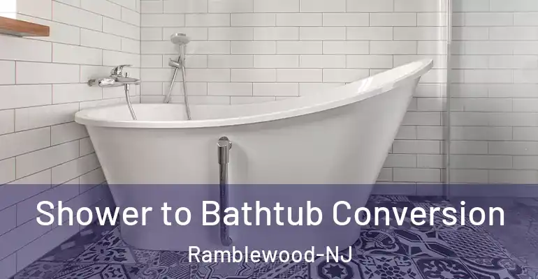 inner Bathroom imggen Shower to Bathtub Conversion Ramblewood-NJ