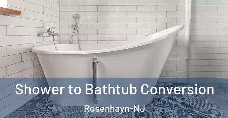 inner Bathroom imggen Shower to Bathtub Conversion Rosenhayn-NJ
