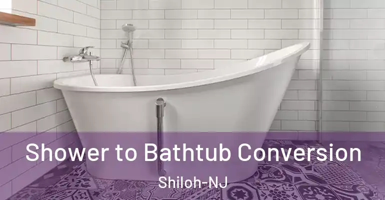 inner Bathroom imggen Shower to Bathtub Conversion Shiloh-NJ