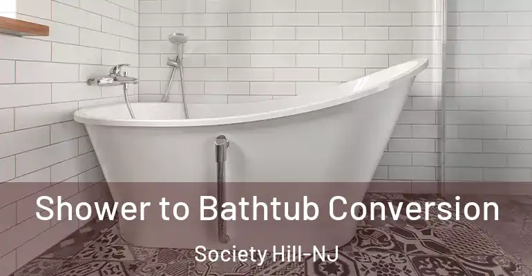 inner Bathroom imggen Shower to Bathtub Conversion Society Hill-NJ
