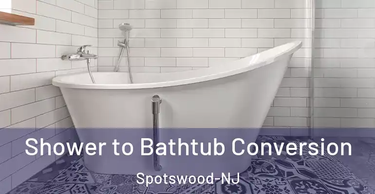 inner Bathroom imggen Shower to Bathtub Conversion Spotswood-NJ