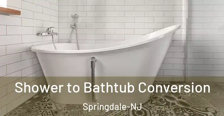 inner Bathroom imggen Shower to Bathtub Conversion Springdale-NJ