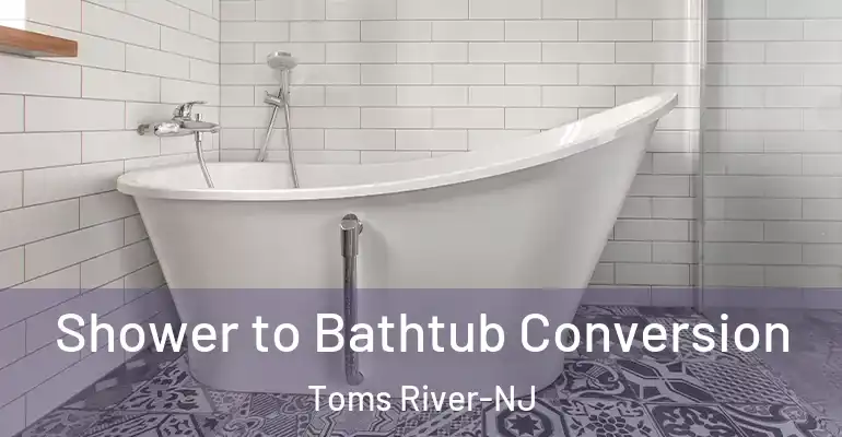 inner Bathroom imggen Shower to Bathtub Conversion Toms River-NJ
