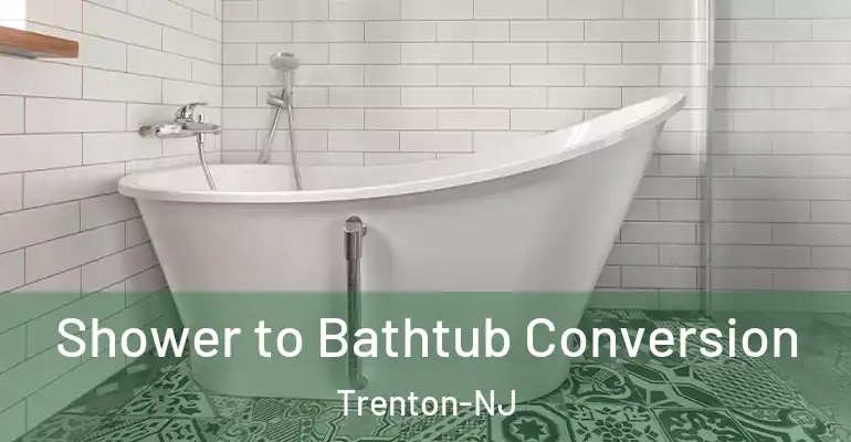 inner Bathroom imggen Shower to Bathtub Conversion Trenton-NJ