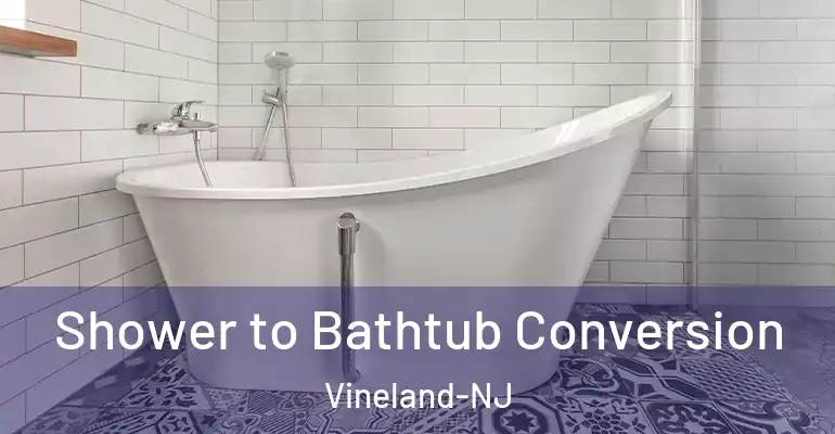 inner Bathroom imggen Shower to Bathtub Conversion Vineland-NJ