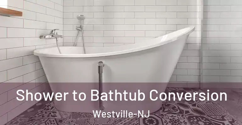 inner Bathroom imggen Shower to Bathtub Conversion Westville-NJ