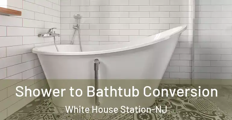 inner Bathroom imggen Shower to Bathtub Conversion White House Station-NJ