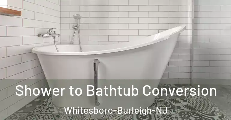 inner Bathroom imggen Shower to Bathtub Conversion Whitesboro-Burleigh-NJ