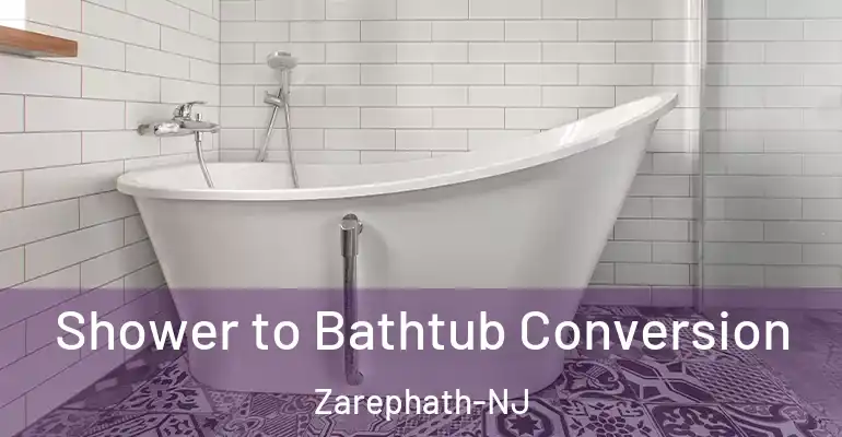 inner Bathroom imggen Shower to Bathtub Conversion Zarephath-NJ