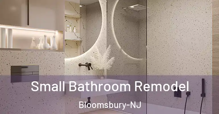 inner Bathroom imggen Small Bathroom Remodel Bloomsbury-NJ