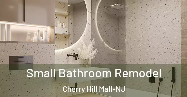 inner Bathroom imggen Small Bathroom Remodel Cherry Hill Mall-NJ