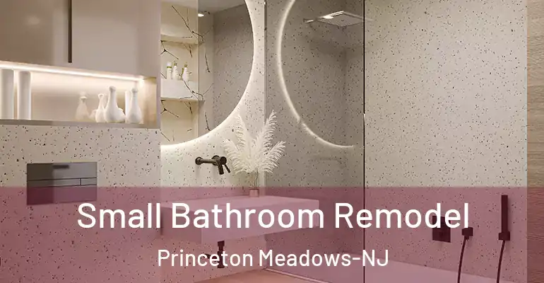 inner Bathroom imggen Small Bathroom Remodel Princeton Meadows-NJ