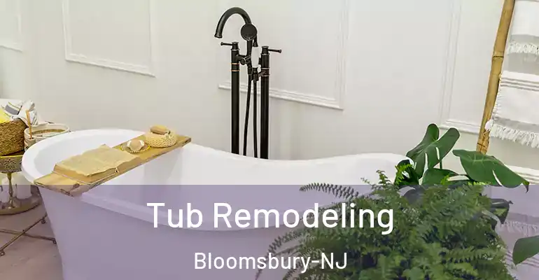 inner Bathroom imggen Tub Remodeling Bloomsbury-NJ