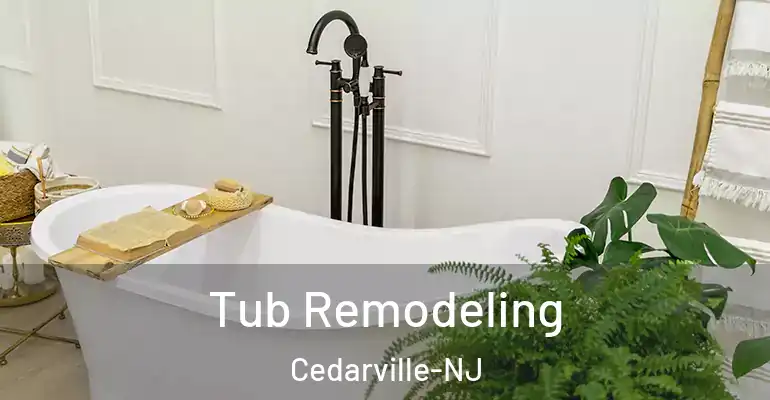 inner Bathroom imggen Tub Remodeling Cedarville-NJ