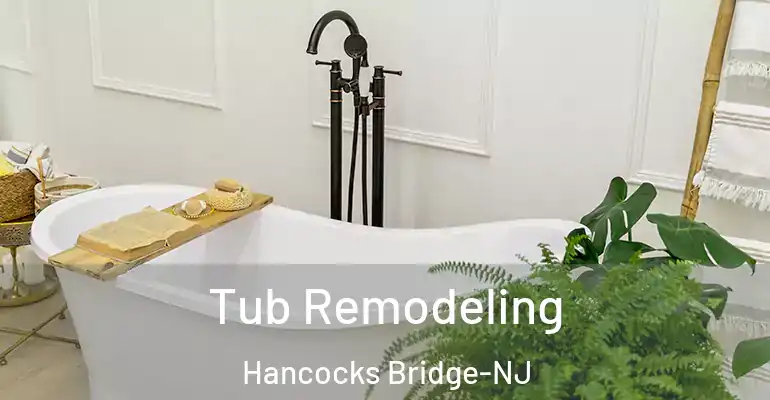 inner Bathroom imggen Tub Remodeling Hancocks Bridge-NJ