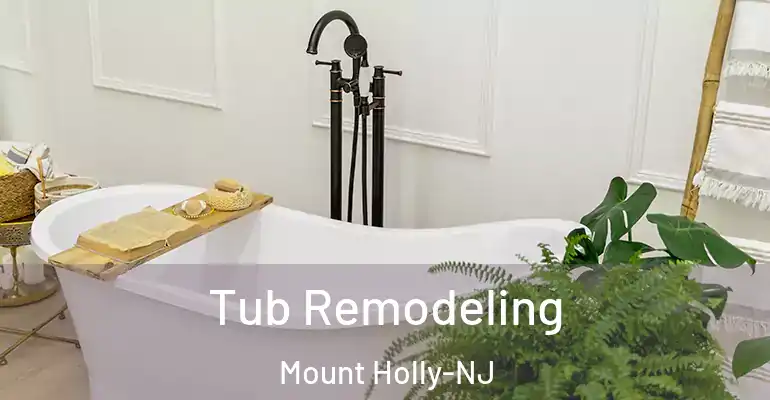 inner Bathroom imggen Tub Remodeling Mount Holly-NJ
