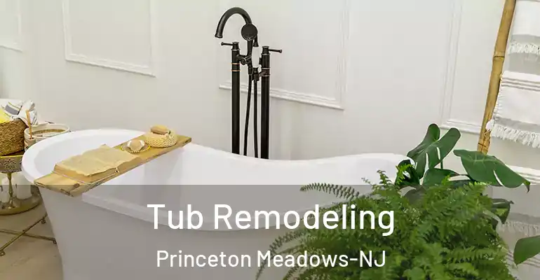inner Bathroom imggen Tub Remodeling Princeton Meadows-NJ